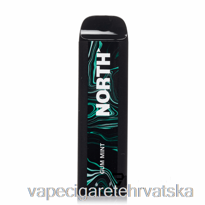 Vape Hrvatska Sjever 5000 Disposable Gum Mint